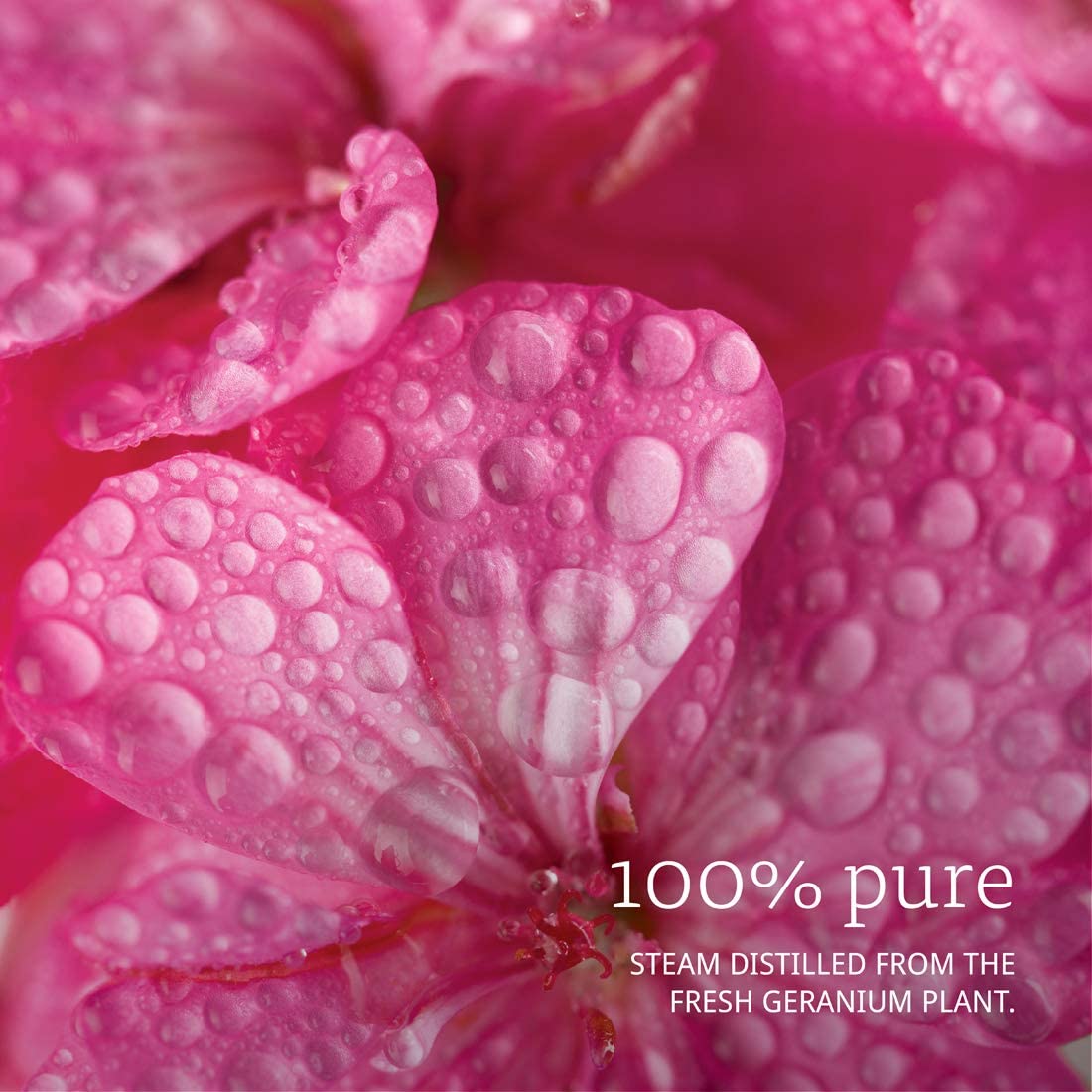 NOW Foods Essential Oils Geranium, 1 fl oz