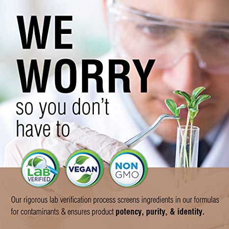 SOLARAY Fermented Mushroom Complete - Organic Chaga, Reishi, Shiitake, Cordyceps, Turkey Tail Mushroom and Lions Mane Supplement Capsules - 8 Mushroom Supplement - Non-GMO, 30 Servings, 60 VegCaps