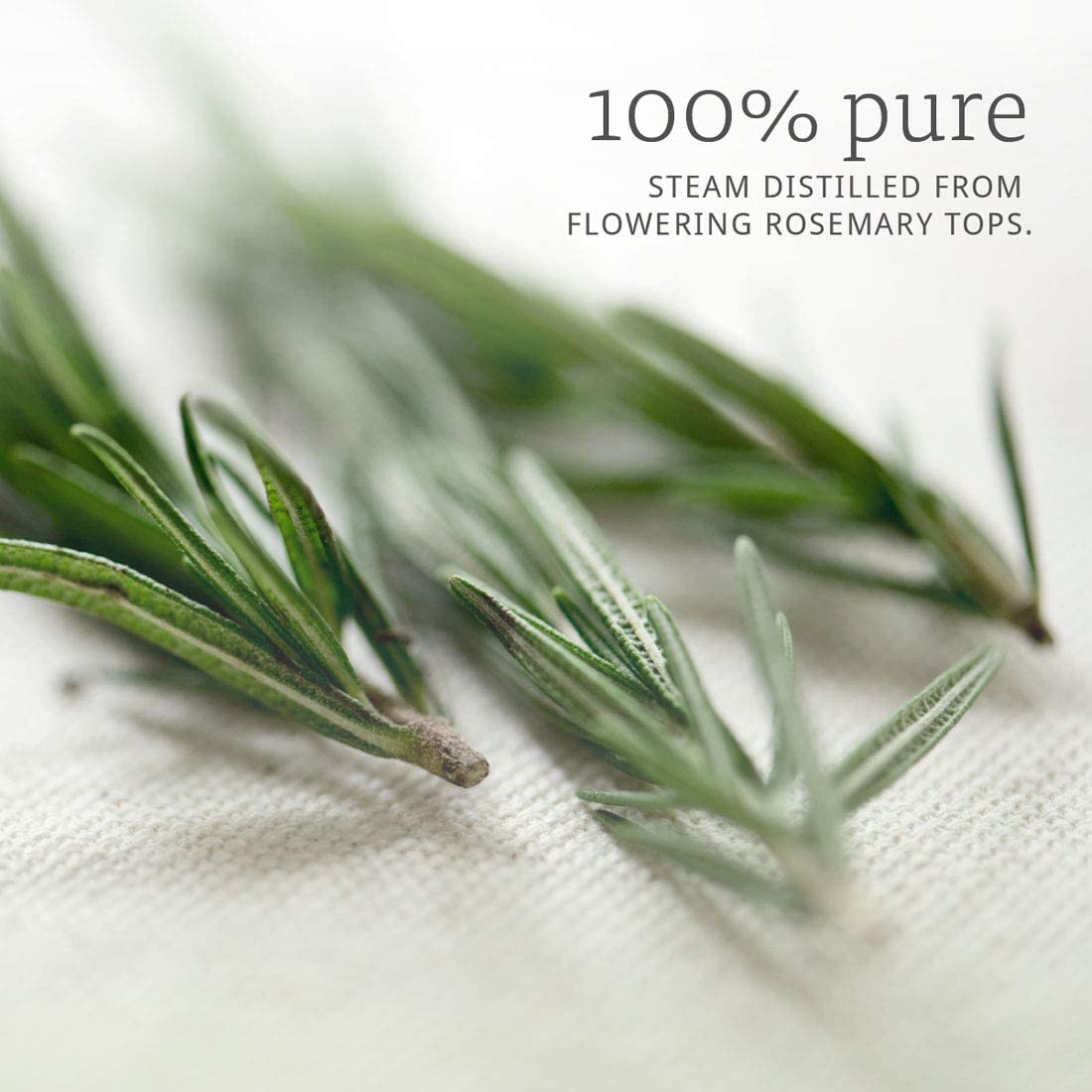 NOW Foods Essential Oils Rosemary, 1 fl oz