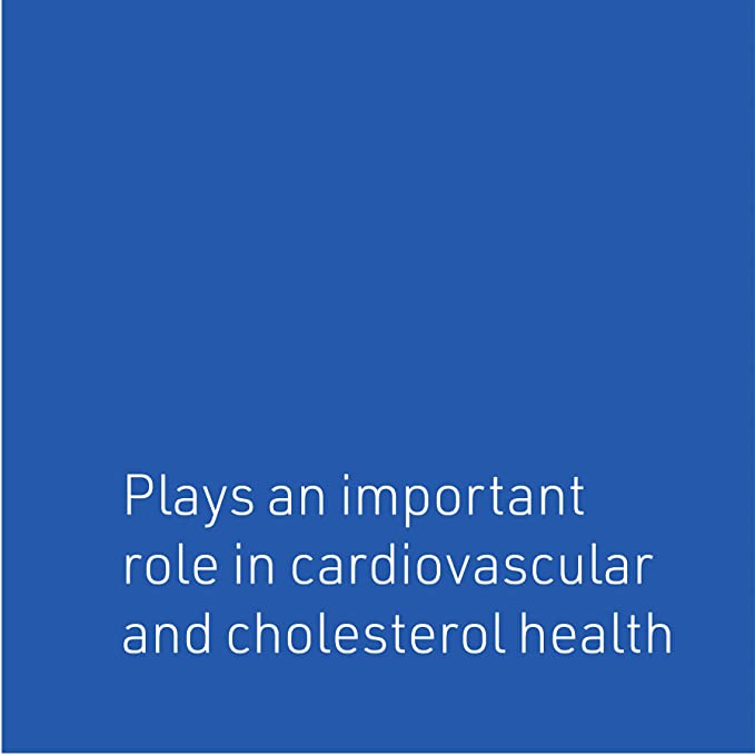 WellBetX Berberine 500 mg by Natural Factors, 60 Vegetarian Capsules (60 Servings)