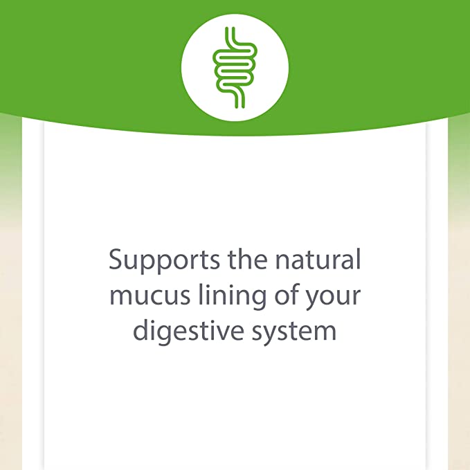 Natural Factors DGL Deglycyrrhizinated Licorice Root Extract, 180 Chewable Tablets