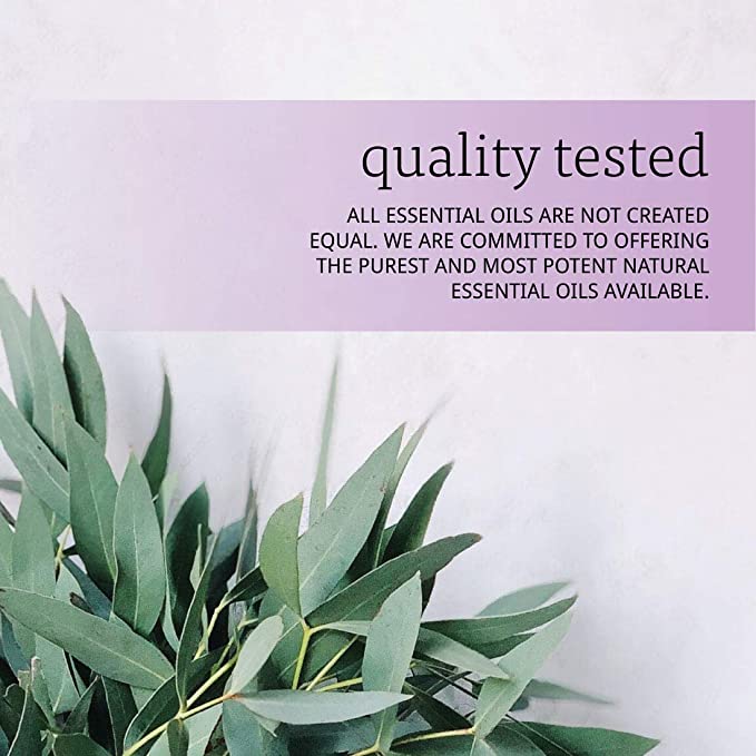 NOW Foods Essential Oils Eucalyptus Oil, 16 fl oz