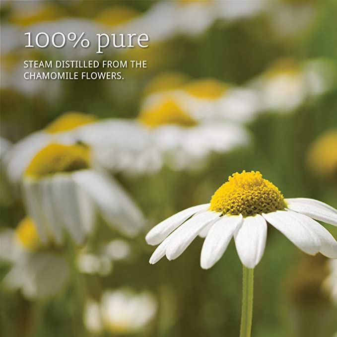 NOW Essential Oils, Chamomile Oil, Delightful Aromatherapy Scent, Steam Distilled, 100% Pure, Vegan, Child Resistant Cap, 1-Ounce