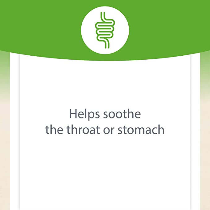 Natural Factors DGL Deglycyrrhizinated Licorice Root Extract, 180 Chewable Tablets