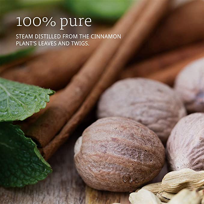 NOW Foods Essential Oils Cinnamon Cassia, 1 fl oz