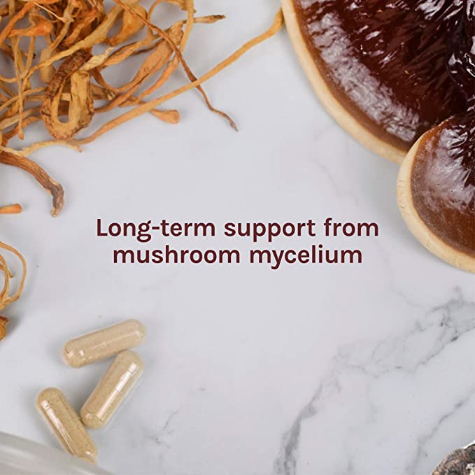 Host Defense CordyChi Capsules - Energy & Immune Support Supplement - Cordyceps & Reishi Mushroom Supplement for Relaxation & Respiratory Support - Aids Against Tiredness - 60 Capsules (30 Servings)