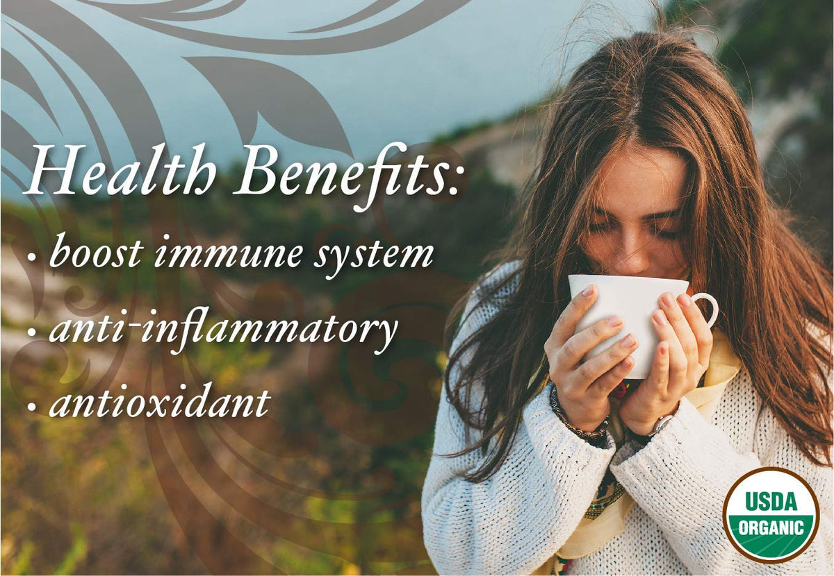 Buddha Teas Chaga Mushroom 18 Tea Bags