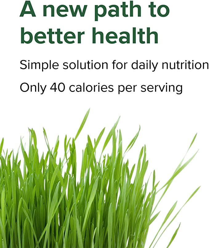 Vibrant Health, Green Vibrance, Plant-Based Superfood Powder, Vegan Friendly, 15 Servings