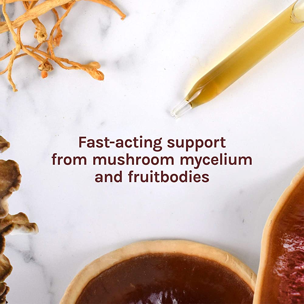 Host Defense MyCommunity Extract - 17 Species Blend Mushroom Supplement for Immune Support - Extract with Lion&#39;s Mane, Reishi. Chaga, Cordyceps, Turkey Tail &amp; More - 4 fl oz (120 Servings)