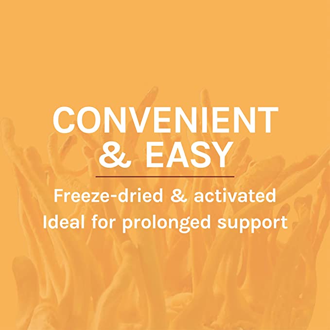 Host Defense Cordyceps Capsules - Immune &amp; Energy Support Supplement - Kidney Health Supplement with Cordyceps - Fitness Support Supplement to Aid Oxygen Uptake - 60 Capsules