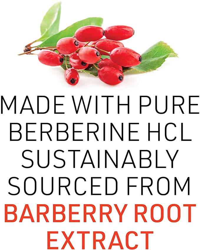 WellBetX Berberine 500 mg by Natural Factors, 60 Vegetarian Capsules (60 Servings)