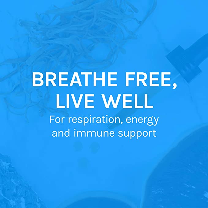 Host Defense Breathe* Extract - Immune &amp; Respiratory Support Mushroom Liquid Supplement - Herbal Lung Health Supplement with Chaga, Reishi &amp; Cordyceps - 1 fl oz (30 Servings)