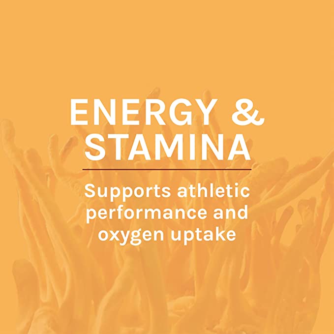 Host Defense Cordyceps Capsules - Immune &amp; Energy Support Supplement - Kidney Health Supplement with Cordyceps - Fitness Support Supplement to Aid Oxygen Uptake - 60 Capsules