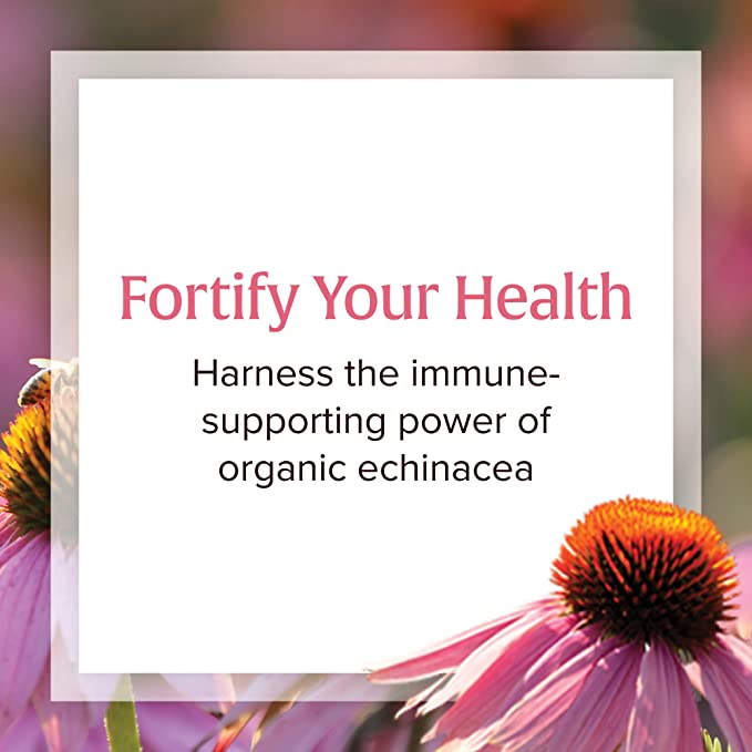 Natural Factors Anti-V Formula, Echinacea Supplement for Immune and Wellness Support, Organic, Non-GMO, 120 Softgels