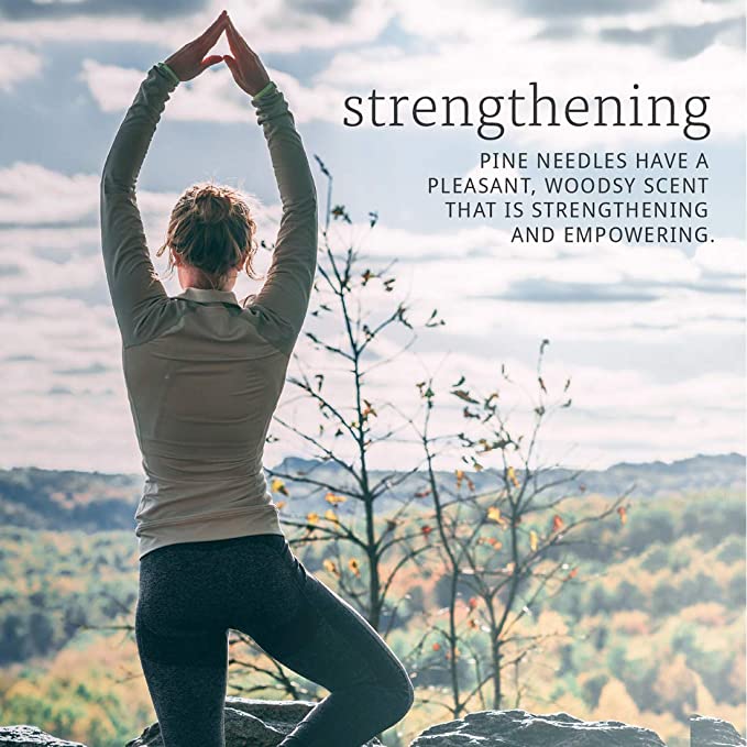 NOW Foods Essential Oils Pine Needle, 1 fl oz