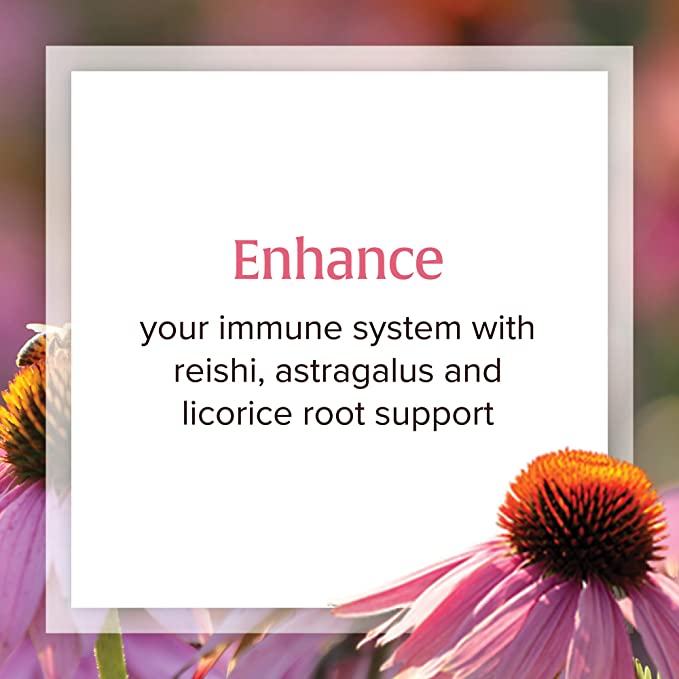 Natural Factors Anti-V Formula, Echinacea Supplement for Immune and Wellness Support, Organic, Non-GMO, 120 Softgels