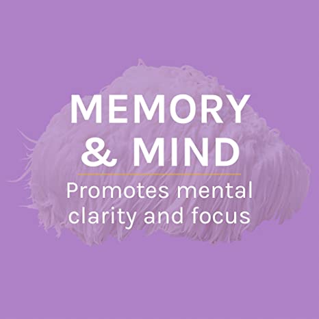 Host Defense Lion&#39;s Mane Powder - Brain Health Support Supplement - Mushroom Supplement to Support Focus &amp; Memory Function - Immune &amp; Nervous System Support Supplement - 3.5 oz (66 Servings)