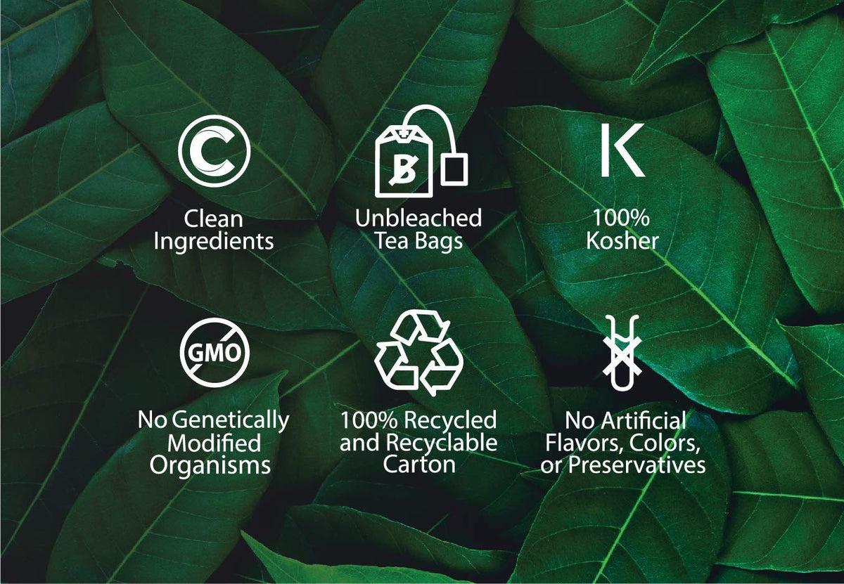 Buddha Teas Chaga Mushroom 18 Tea Bags