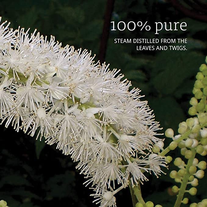 NOW Essential Oils Tea Tree, 1 fl oz