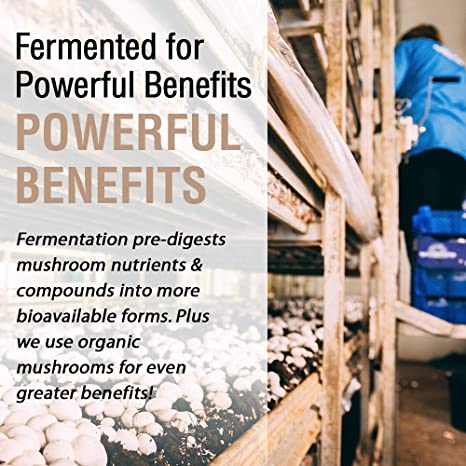 SOLARAY Fermented Mushroom Complete - Organic Chaga, Reishi, Shiitake, Cordyceps, Turkey Tail Mushroom and Lions Mane Supplement Capsules - 8 Mushroom Supplement - Non-GMO, 30 Servings, 60 VegCaps