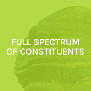 Host Defense, Agarikon Capsules, Full Spectrum of Constituents, Mushroom Supplement, Vegan, Organic, 60 Capsules (60 Servings)
