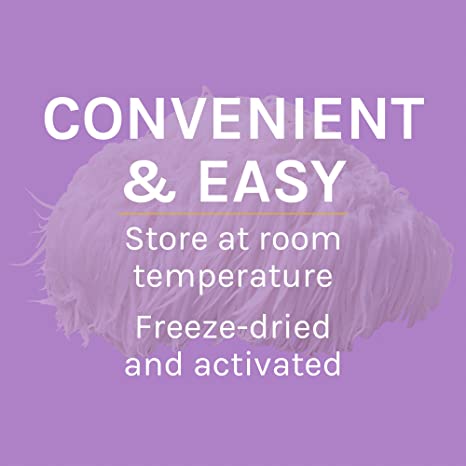 Host Defense Lion&#39;s Mane Powder - Brain Health Support Supplement - Mushroom Supplement to Support Focus &amp; Memory Function - Immune &amp; Nervous System Support Supplement - 3.5 oz (66 Servings)