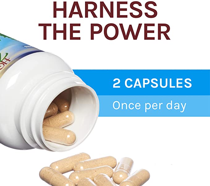 Host Defense CordyChi Capsules - Energy & Immune Support Supplement - Cordyceps & Reishi Mushroom Supplement for Relaxation & Respiratory Support - Aids Against Tiredness - 60 Capsules (30 Servings)