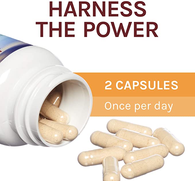 Host Defense Chaga Capsules - Immune System Support Supplement - Chaga Mushroom Capsules for Antioxidant Activity Support - Dietary Mushroom Supplement - 60 Capsules