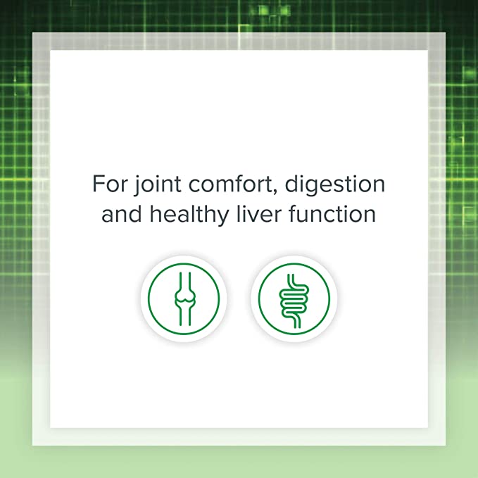 Natural Factors Turmeric &amp; Bromelain, 450 mg, 90 Capsules