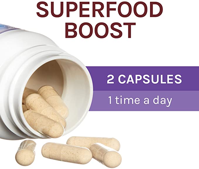 Host Defense, Lion&#39;s Mane Capsules, Promotes Mental Clarity, Focus and Memory, Daily Mushroom Supplement, Vegan, Organic, 30 Capsules (15 Servings)