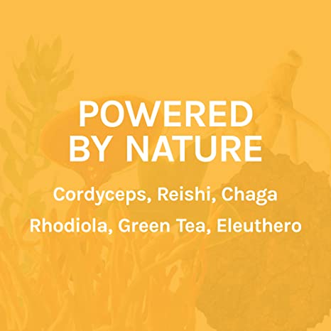 Host Defense MycoBotanicals Energy* Capsules - Energy &amp; Respiratory Support Supplement - Herbal Green Tea Capsules - Respiratory Supplement with Cordyceps, Reishi &amp; Chaga - 60 Capsules (30 Servings)