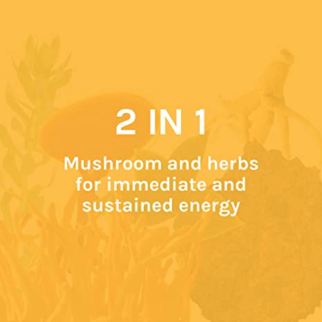 Host Defense MycoBotanicals Energy* Capsules - Energy &amp; Respiratory Support Supplement - Herbal Green Tea Capsules - Respiratory Supplement with Cordyceps, Reishi &amp; Chaga - 60 Capsules (30 Servings)
