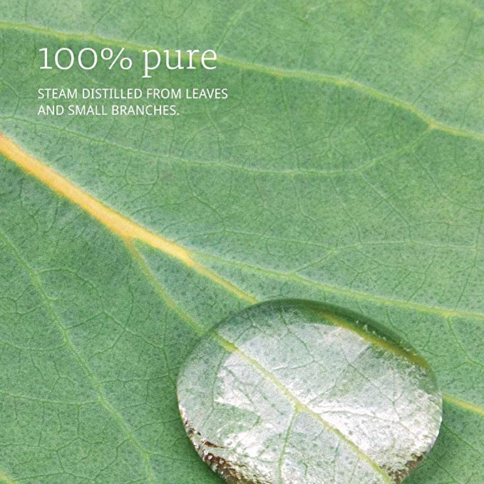 NOW Foods Essential Oils Eucalyptus, 1 fl oz