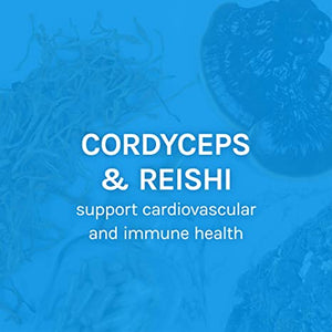 Host Defense Mushrooms™ Cordychi®, 120 Vegetarian Capsules