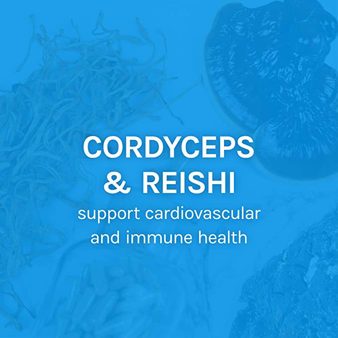 Host Defense CordyChi Capsules - Energy & Immune Support Supplement - Cordyceps & Reishi Mushroom Supplement for Relaxation & Respiratory Support - Aids Against Tiredness - 60 Capsules (30 Servings)