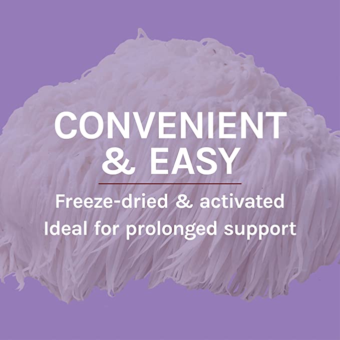 Host Defense, Lion&#39;s Mane Capsules, Promotes Mental Clarity, Focus and Memory, Daily Mushroom Supplement, Vegan, Organic, 30 Capsules (15 Servings)