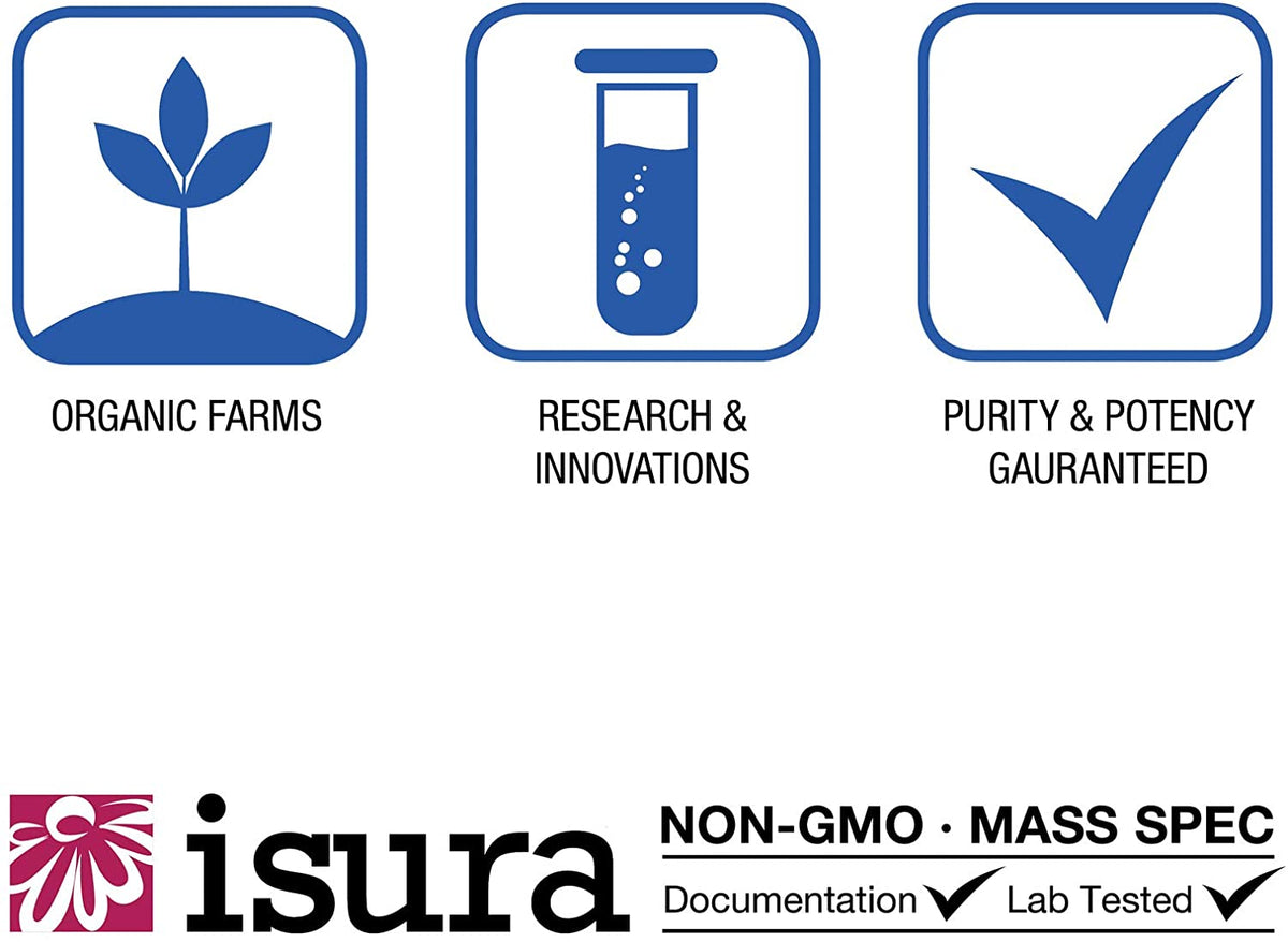 WellBetX Berberine 500 mg by Natural Factors, 60 Vegetarian Capsules (60 Servings)