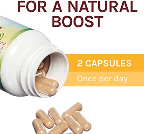 Host Defense MycoBotanicals Energy* Capsules - Energy &amp; Respiratory Support Supplement - Herbal Green Tea Capsules - Respiratory Supplement with Cordyceps, Reishi &amp; Chaga - 60 Capsules (30 Servings)