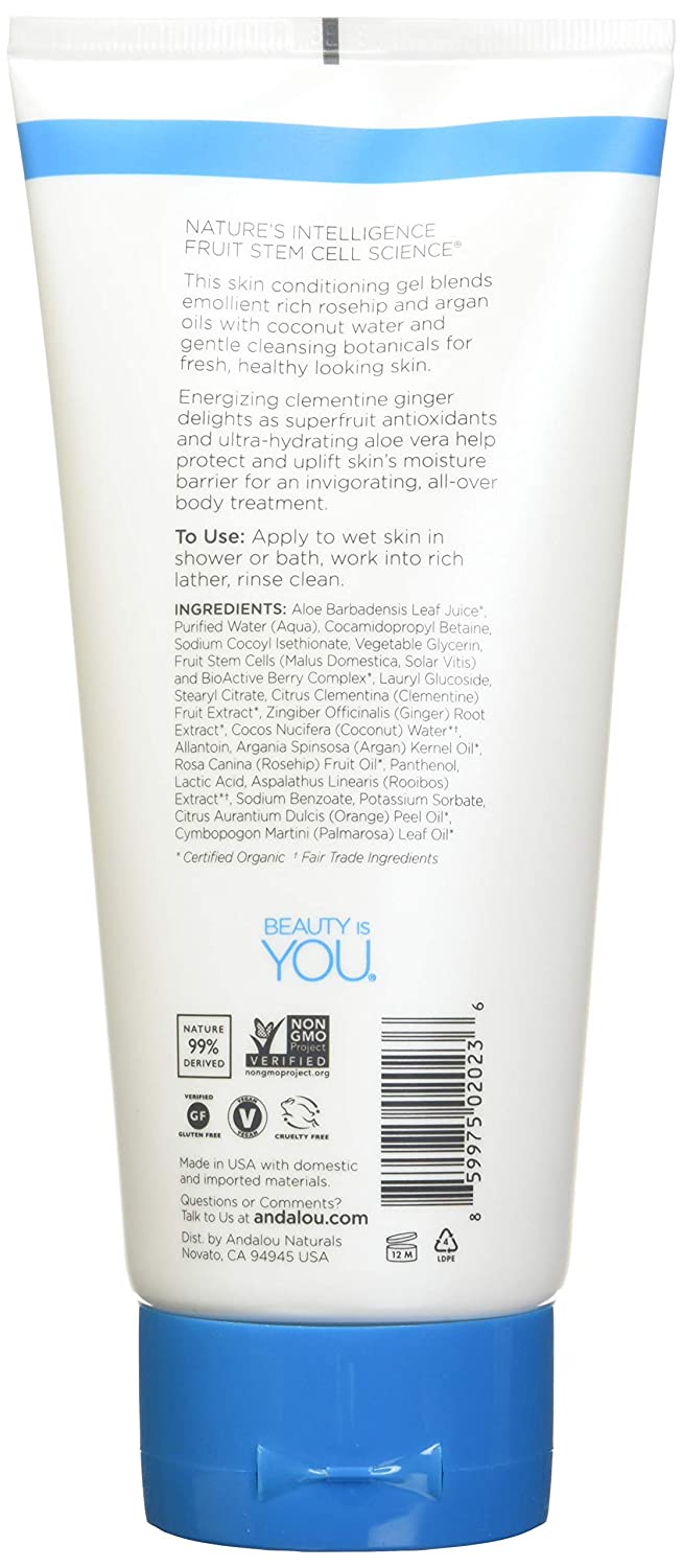Andalou Naturals Body Energizing Shower Gel, Clementine Ginger - 8.5 Oz, 8.50 Oz