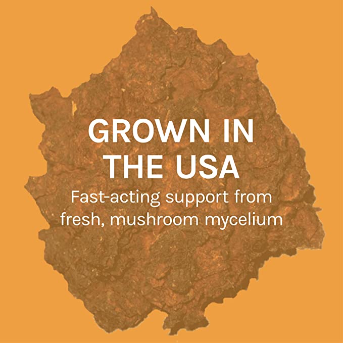Host Defense Chaga Extract - Immune System Support Supplement - Chaga Mushroom for Antioxidant Activity Support - Liquid Dietary Mushroom Supplement - 1 fl oz (30 Servings)