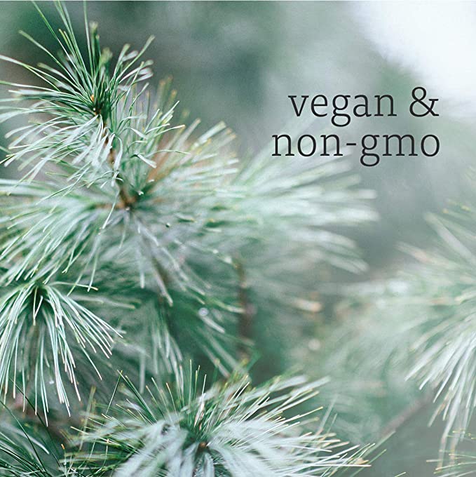 NOW Foods Essential Oils Pine Needle, 1 fl oz