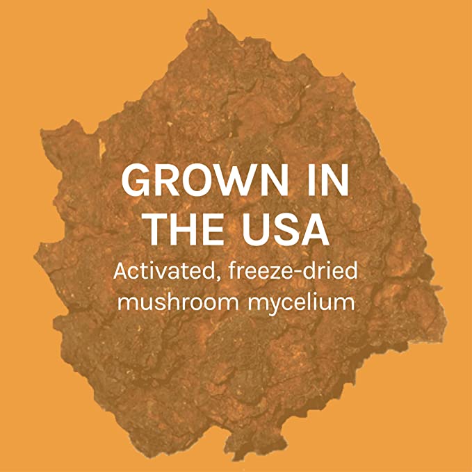 Host Defense Chaga Capsules - Immune System Support Supplement - Chaga Mushroom Capsules for Antioxidant Activity Support - Dietary Mushroom Supplement - 60 Capsules