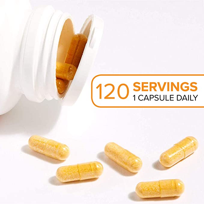 Natural factors - CurcuminRich Theracurmin Double Strength 120 Vegetarian Capsules