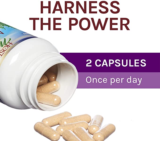 Host Defense MyCommunity Capsules - 17 Species Blend Mushroom Supplement for Immune Support - Herbal Aid with Lion&#39;s Mane, Reishi. Chaga, Cordyceps, Turkey Tail &amp; More - 60 Capsules (30 Servings)