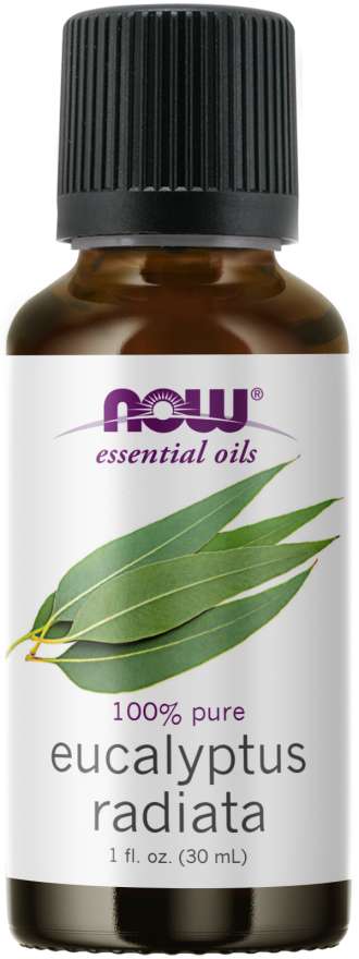 NOW Foods Essential Oils Eucalyptus Radiata Oil, 1 fl oz