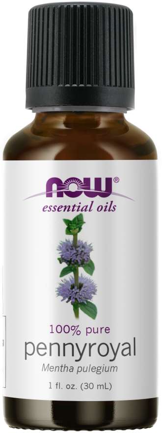 NOW Essential Oils Pennyroyal Oil, 1 fl oz