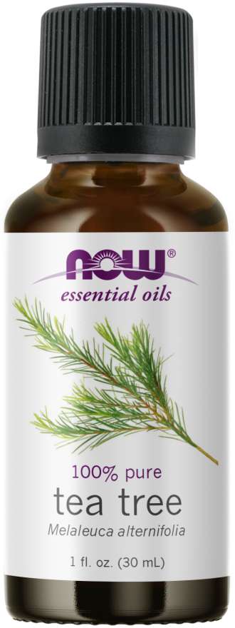 NOW Essential Oils Tea Tree, 1 fl oz