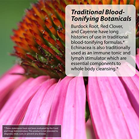 Irwin Naturals Liver Detox & Blood Refresh Powerful Herbal Whole-Body Cleanse & Detox with 540mg Milk Thistle, Dandelion, Echinacea, Turmeric & More - Antioxidant Support - 60 Liquid Softgels