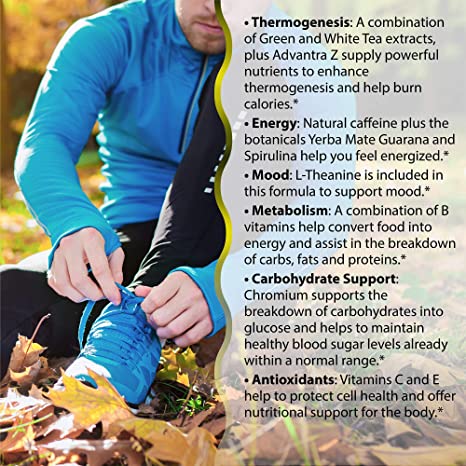 Irwin Naturals System-Six Powerful Weight Loss Support Supplement - Metabolism Booster - 60 Liquid Softgels