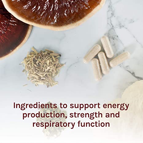 Host Defense MycoBotanicals Energy* Capsules - Energy &amp; Respiratory Support Supplement - Herbal Green Tea Capsules - Respiratory Supplement with Cordyceps, Reishi &amp; Chaga - 60 Capsules (30 Servings)